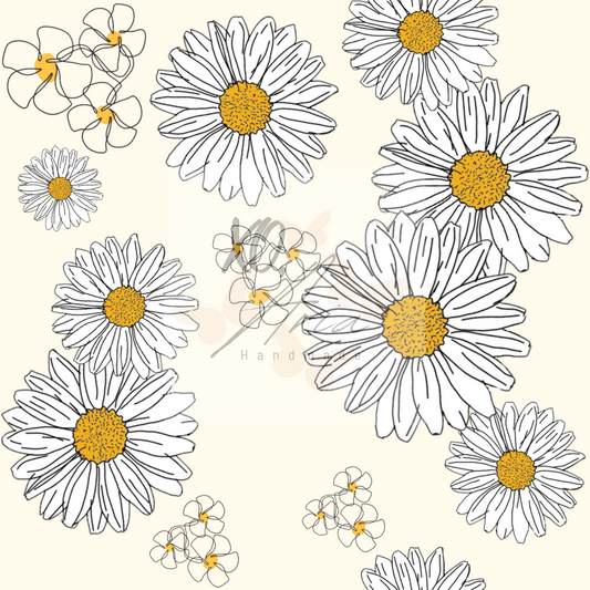 Daisys